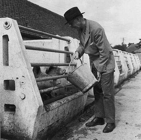 Lee Miller - Working Guests Project - Alfred H. Barr Jr. Feeding the Pigs, 1952.